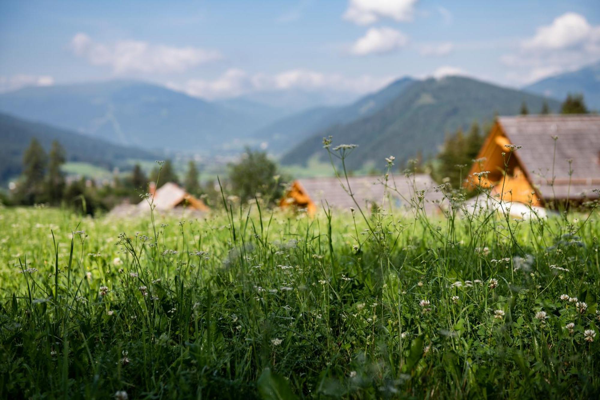 Lerchpeuntgut Alpenfreud Apartments タムスヴェーク エクステリア 写真